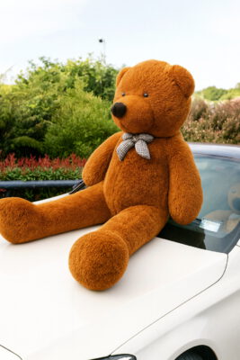 דובי ענק חום: מדריך היתרונות המלא - מהנוחות הרגשית ועד לעיצוב הבית