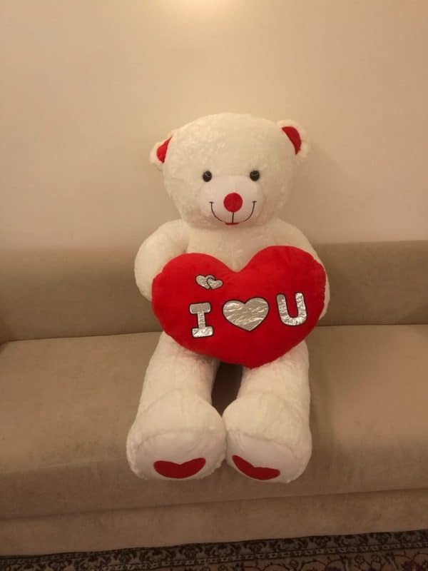 דובי ענק "אהבה" בגודל 2 מטרים
