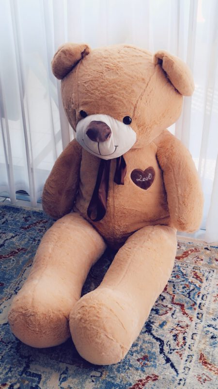 דובי ענק כמתנה
